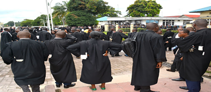 Avocats