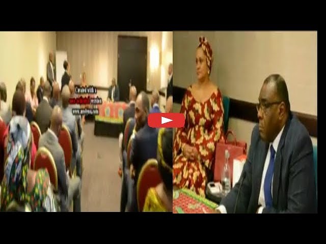 Suivez la Rencontre entre Jean-Pierre Bemba, militants et cadres du MLC à Bruxelles Suivez la Rencontre entre Jean-Pierre Bemba, militants et cadres du MLC à Bruxelles