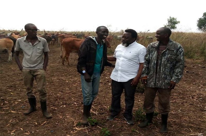 Actu Expliquée : « Kabila » s’affiche avec ses vaches du Bandundu + Vers un Front des Invalidés?