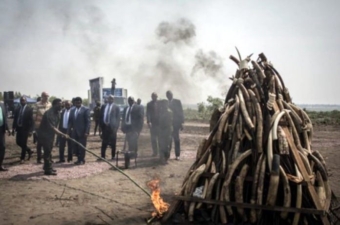 Kabila-brule