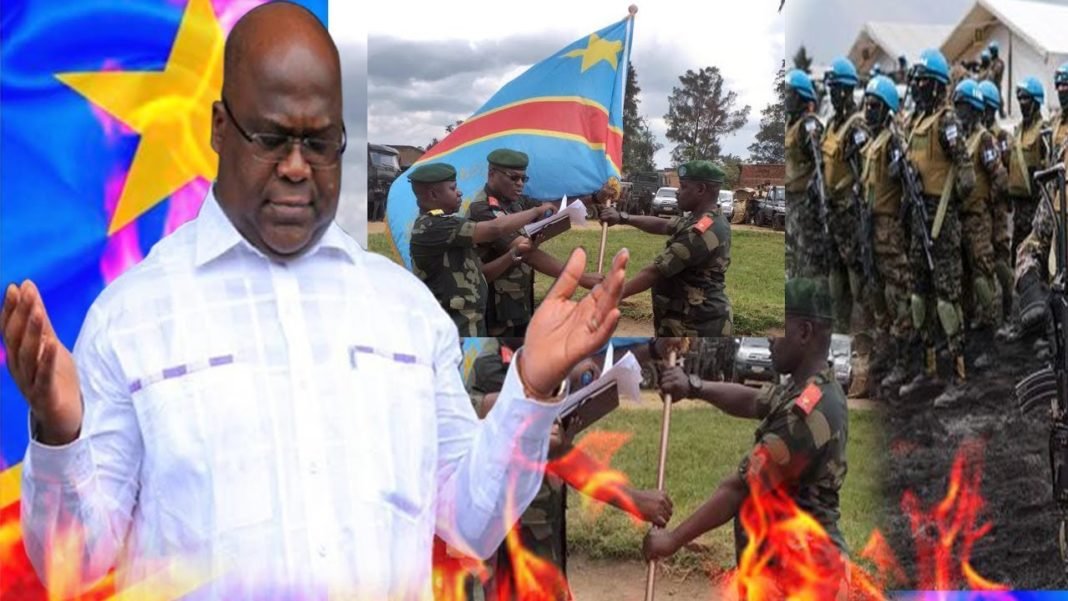 Fatshi devant la vérité des chiffres : Monusco, FARDC, ADF… Complot ?