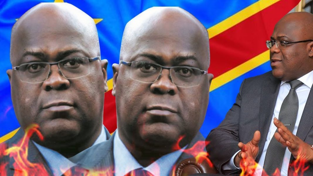 Fatshi éventre le boa : La panique est générale Fatshi éventre le boa : La panique est générale