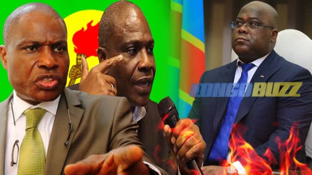 Fayulu et Fatshi : Hostilité ou adversité ?