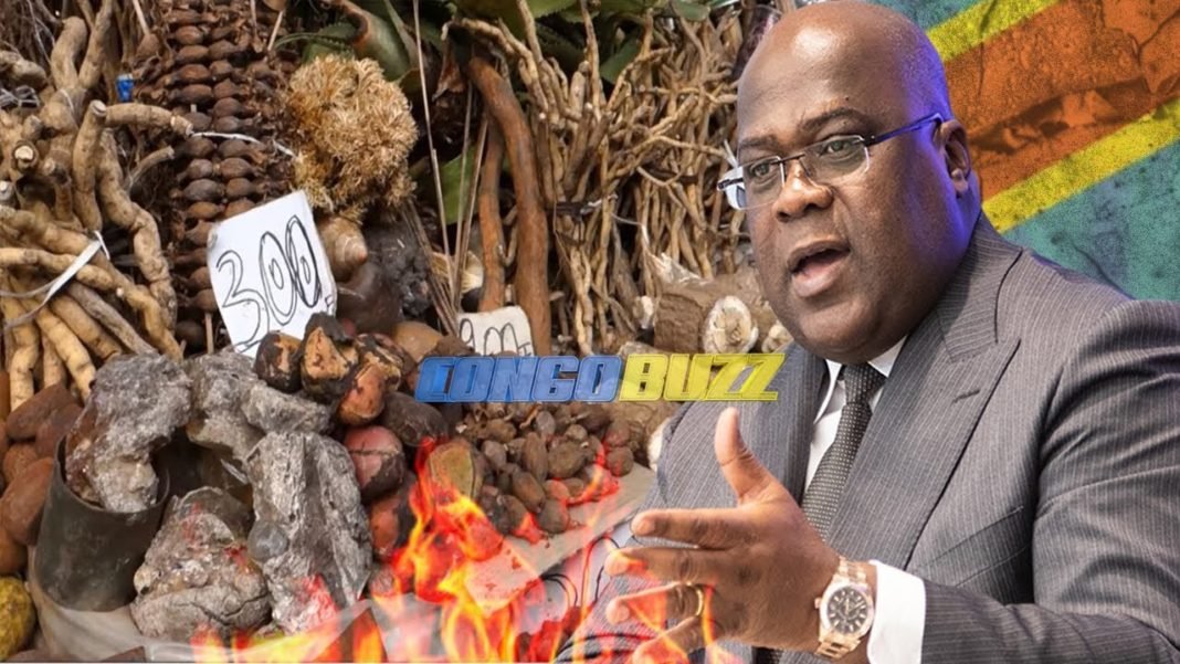 Fatshi face à la faim des congolais : Réussira-t-il ?