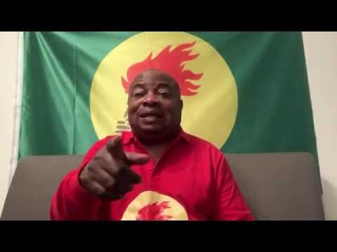 Quand Boketshu donne le plus bref compte rendu possible des faits importants concernant le concert de Fally Ipupa à Paris