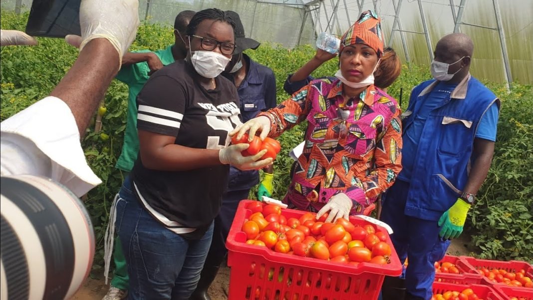 Télé Réalité : Maman Olive Lembe Kabila azo récolter pona congolais alala nzala te