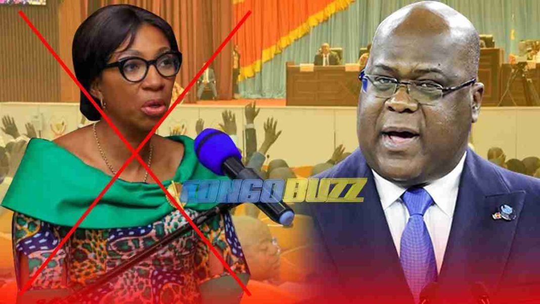 Critik Info: Faut-il vraiment dissoudre l’ass. Nat? Mabunda énerve la République