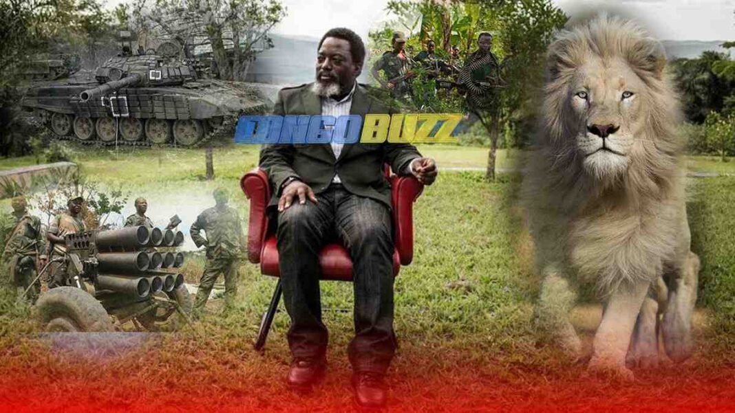 Vrai ou Faux Kingakati est en train d’être désarmé ? Les révélations