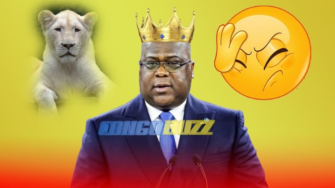 Ce qui fera de Fatshi un grand président : l’histoire ne ment pas