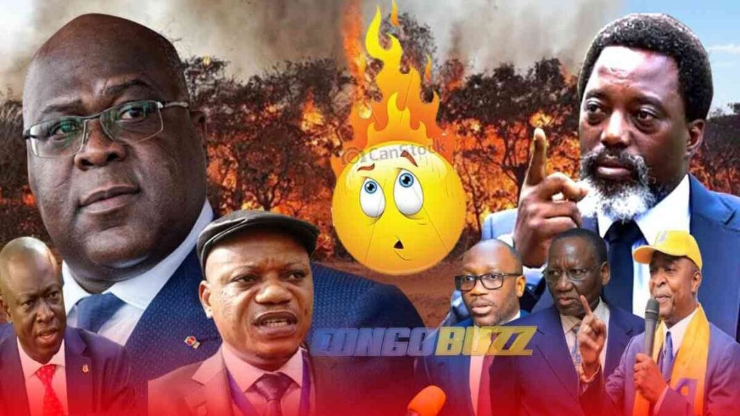 La forêt brûle, les intouchables démasqués, la panique est totale