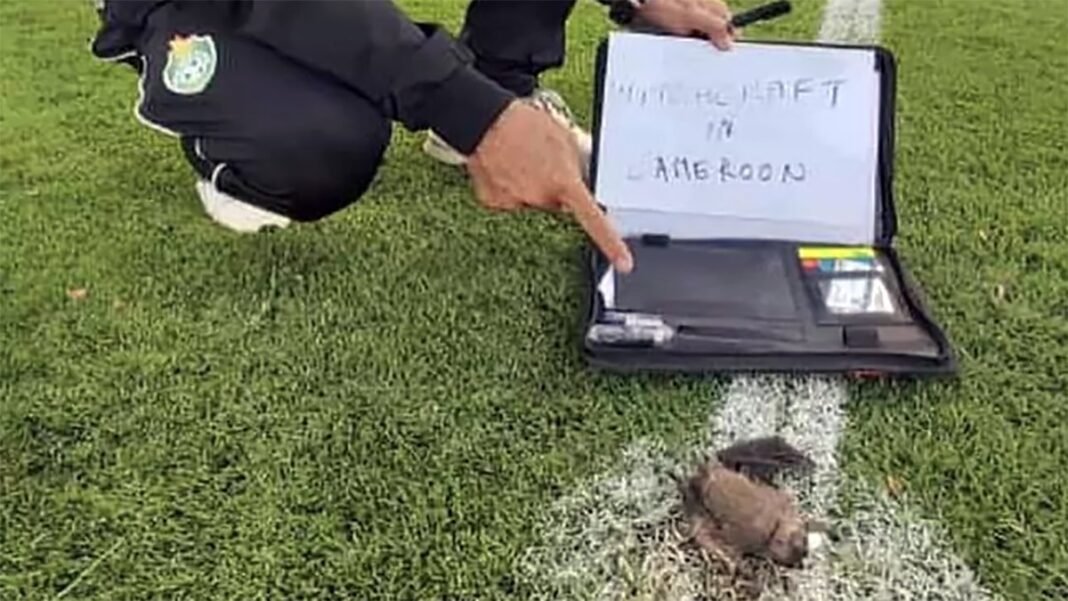 CHAN 2020 : Une enquête sur la sorcellerie ouverte par la CAF !