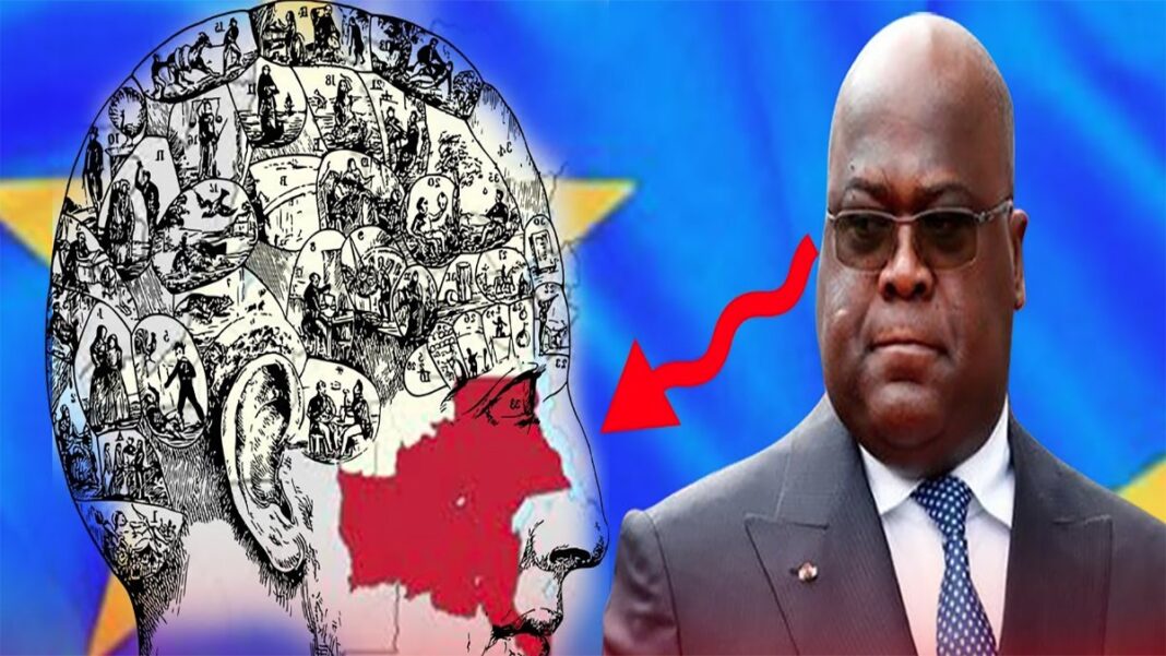 Physionomie du gouvernement : Katanga, Sénat, Grand Kivu : les grands enjeux Physionomie du gouvernement : Katanga, Sénat, Grand Kivu : les grands enjeux