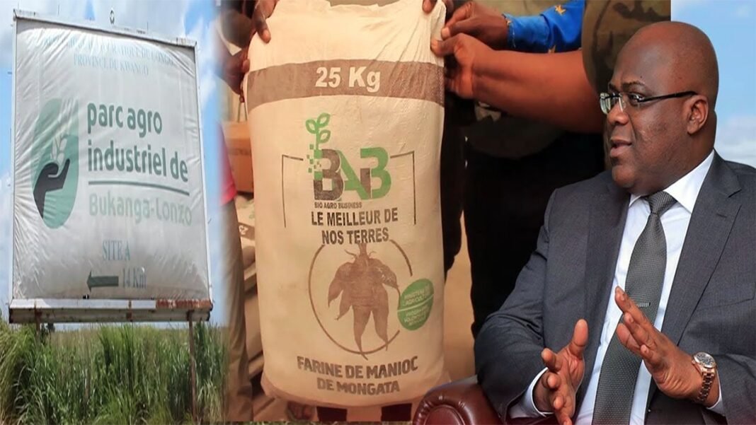 VIDEO. Bukanga Lonzo bétonné par Fatshi : Production visible, le peuple s’étonne