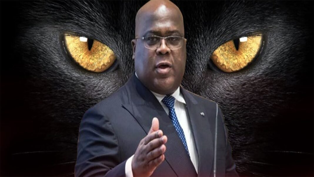 Critik Infos : Qui cherche la bête noire ? Les vraies problèmes sont ailleurs