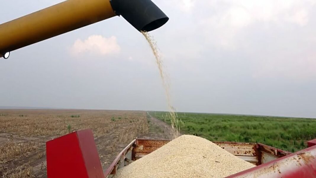 Bukanga Lonzo : neuf raisons pour laver Matata !