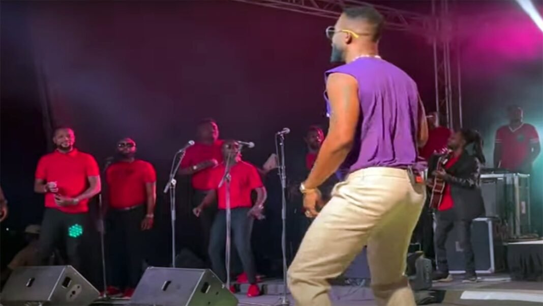 Concert VIP de Fally Ipupa à N’Djamena