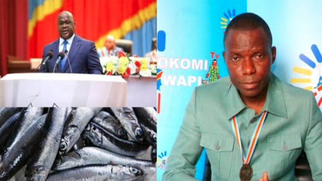 Masolo Na Député : Discours de Fatshi, Poisson epoli na Namibie ?