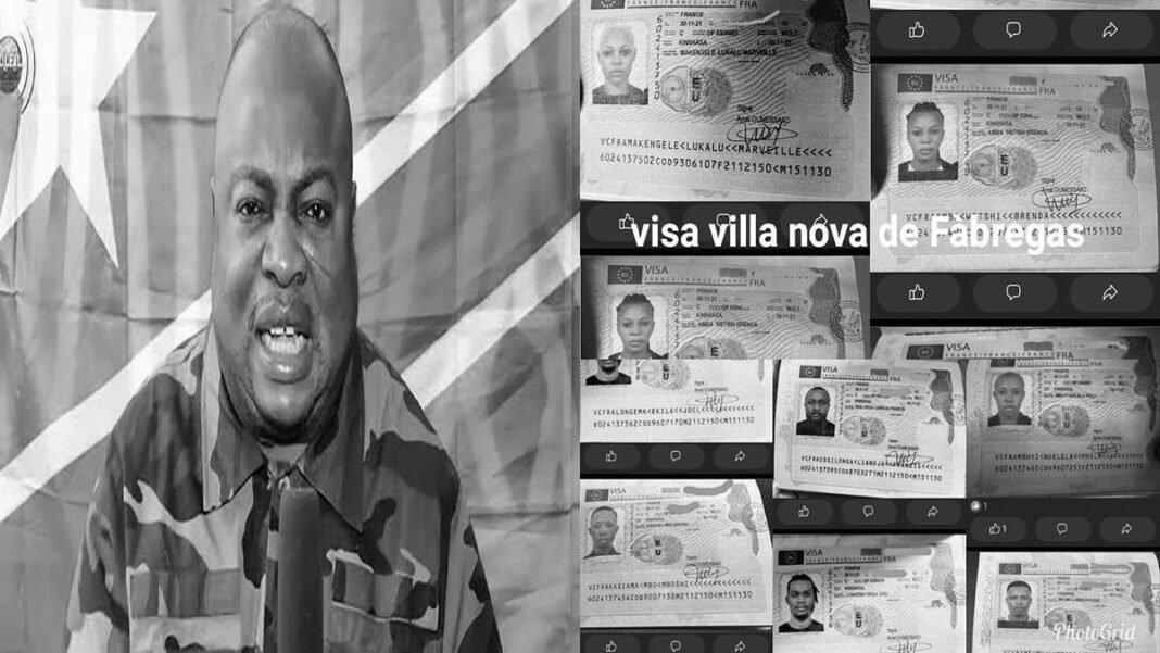 Affaire Visas des musiciens de Fabregas : Boketshu très en colère, mobilise « Pas de CONCERT à Lyon »