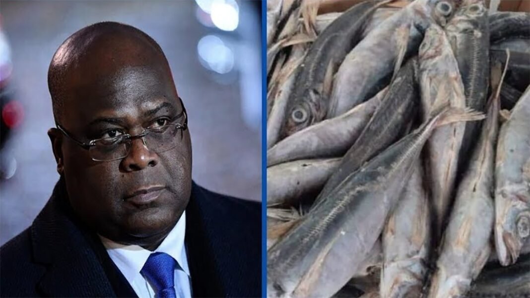 Contrat de pêche RDC-Namibie: un autre lot de chinchards attendu avant le 31 décembre