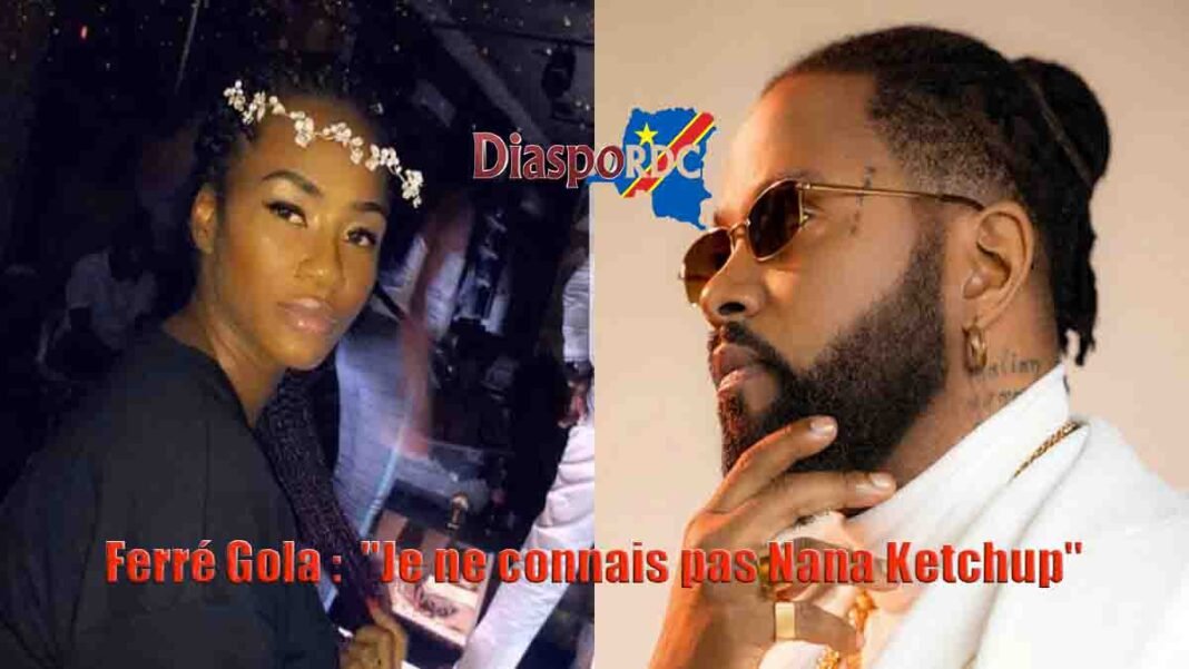 Robinio Mundibu répond à Ferre Gola : « Tu connais bien Nana Ketchup, la femme de Fally Ipupa » Robinio Mundibu répond à Ferre Gola : « Tu connais bien Nana Ketchup, la femme de Fally Ipupa »