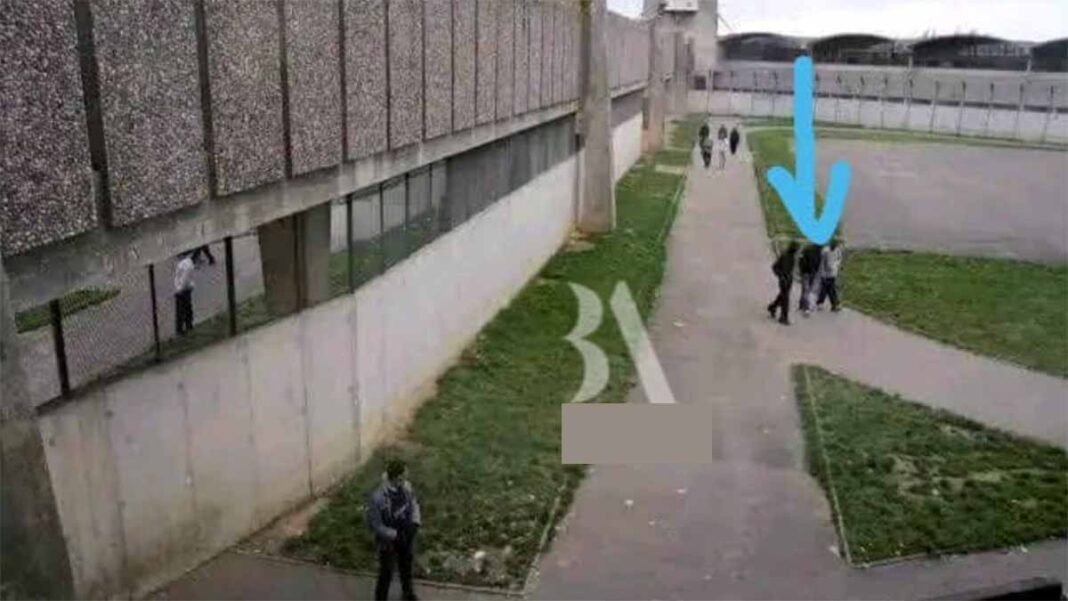 VIDEO. Tout sur la confirmation de la libération de Ferre Gola en France