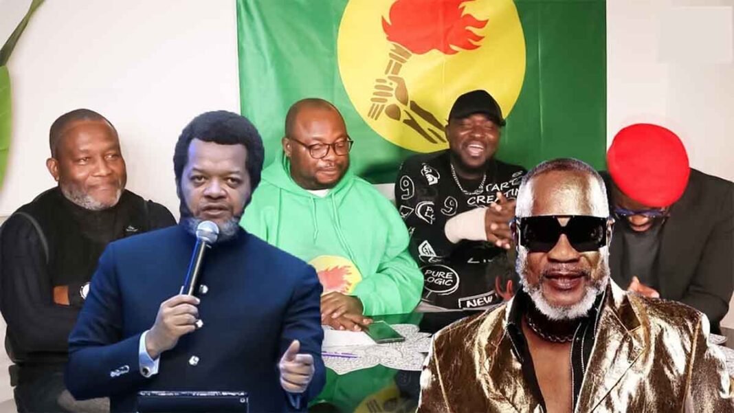 Les combattants de la diaspora contre Koffi Olomide